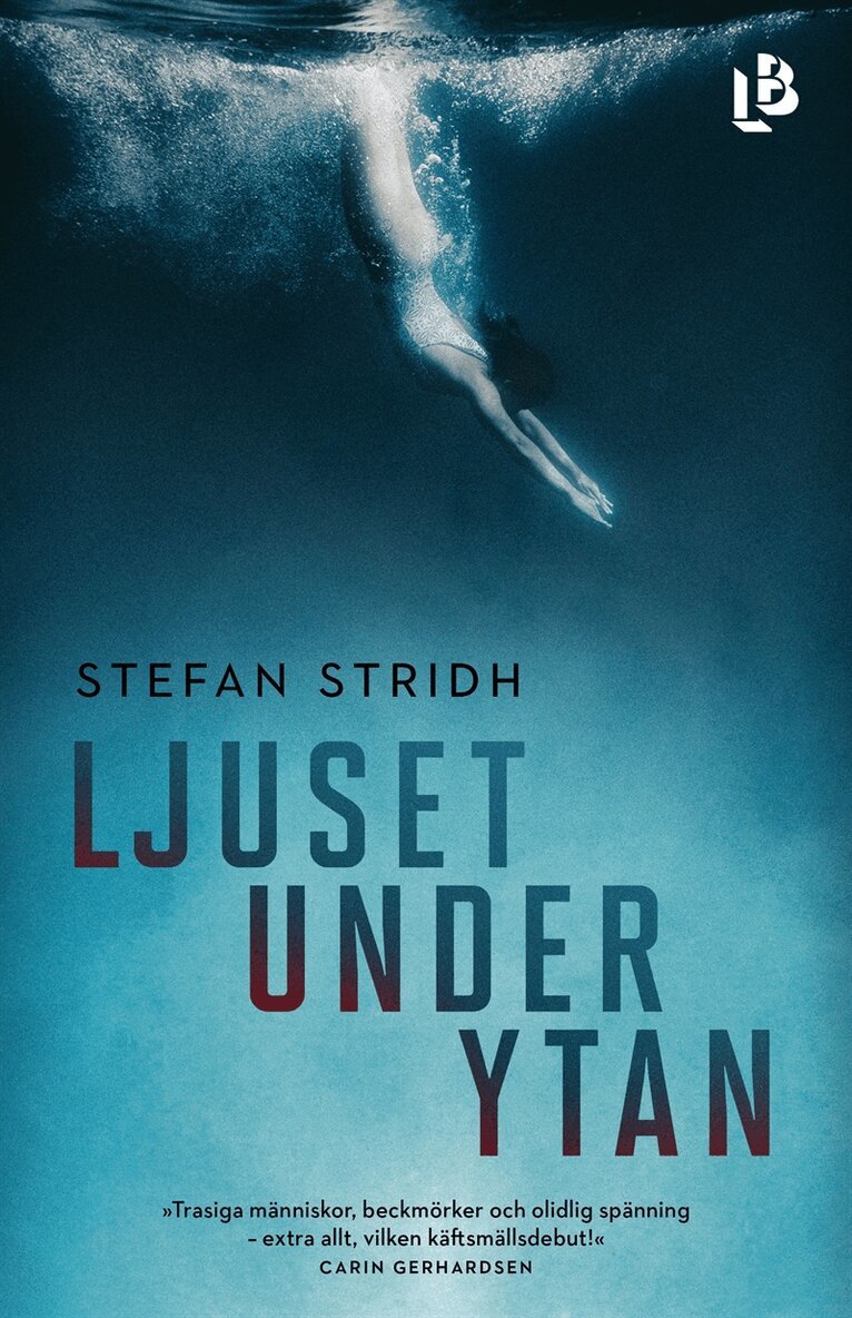 Stefan Stridh - Ljuset under ytan, E-bok