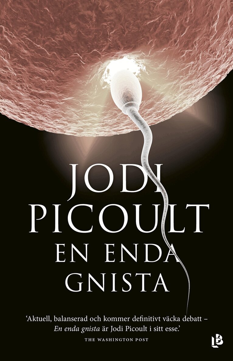 Jodi Picoult - En enda gnista, E-bok