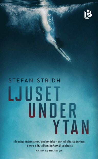 Stefan Stridh Ljuset under ytan