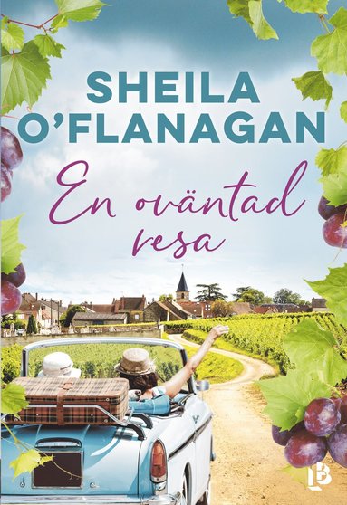 Sheila O”Flanagan En oväntad resa