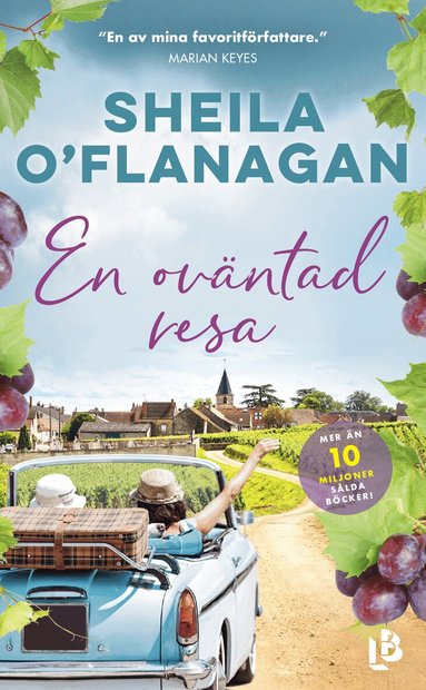 Sheila O’Flanagan - En oväntad resa, Pocket