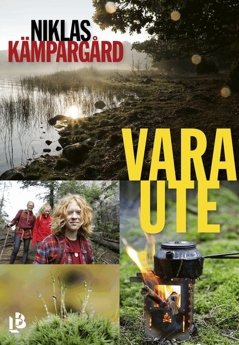Niklas Kämpargård - Vara ute, E-bok