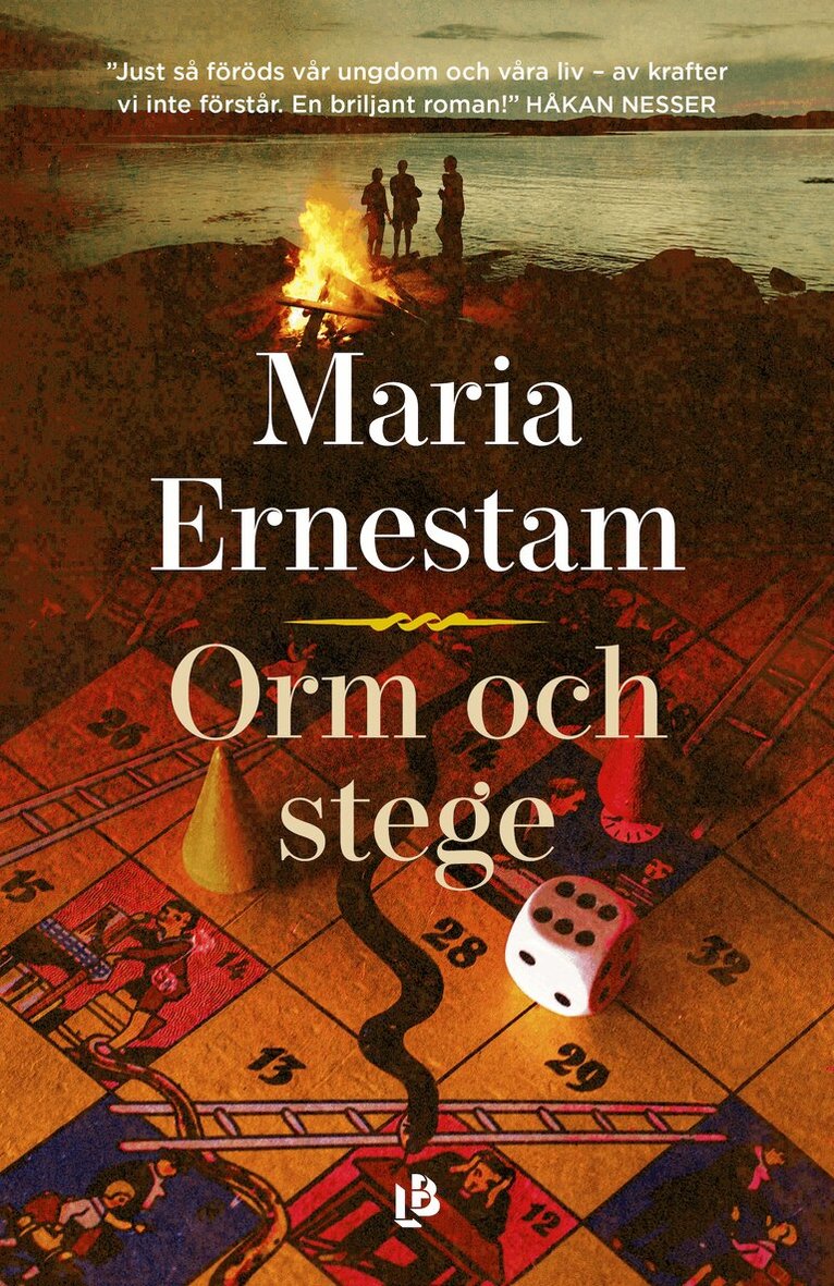 Maria Ernestam - Orm och stege, E-bok