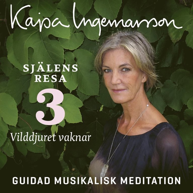 Kajsa Ingemarsson - Vilddjuret vaknar - Själens resa Etapp 3, Ljudbok