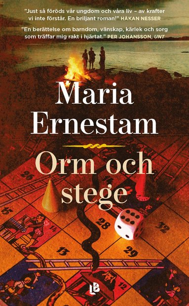 Maria Ernestam Orm och stege