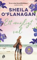 Ett omöjligt val