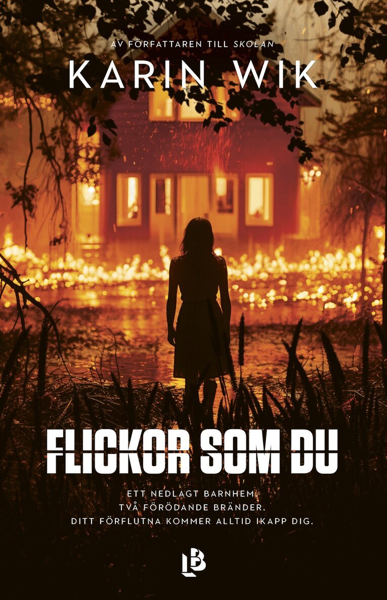 Karin Wik - Flickor som du, E-bok