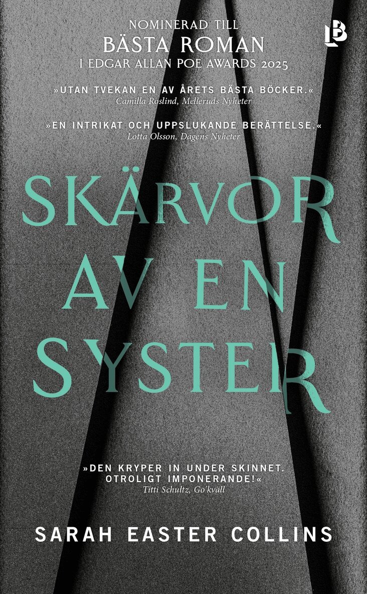 Sarah Easter Collins - Skärvor av en syster, E-bok