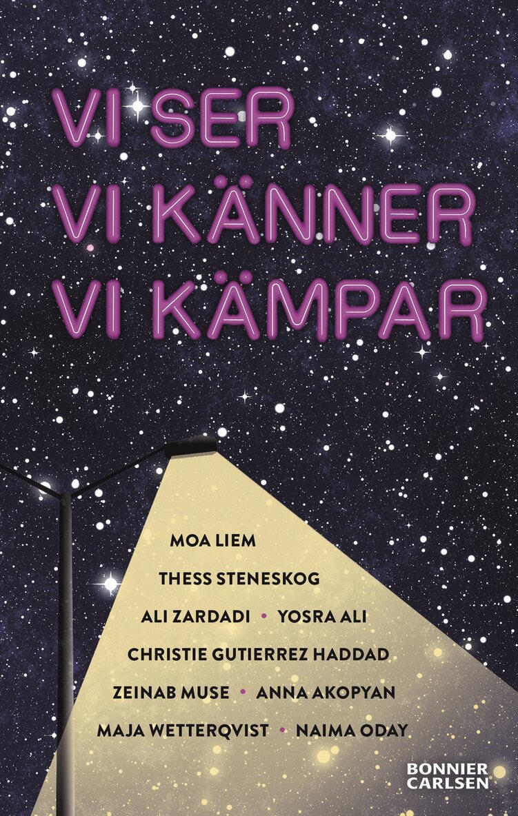 Vi ser, vi känner, vi kämpar, Häftad