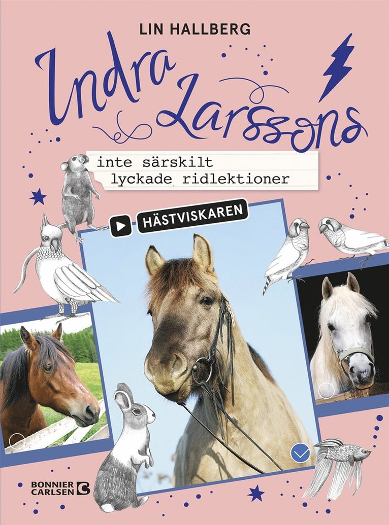 Lin Hallberg - Indra Larssons inte särskilt lyckade ridlektioner, E-bok