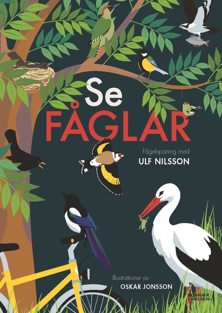 Ulf Nilsson - Se fåglar, E-bok