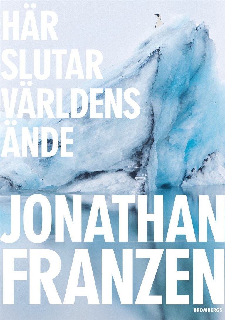 Jonathan Franzen - Här slutar världens ände, E-bok