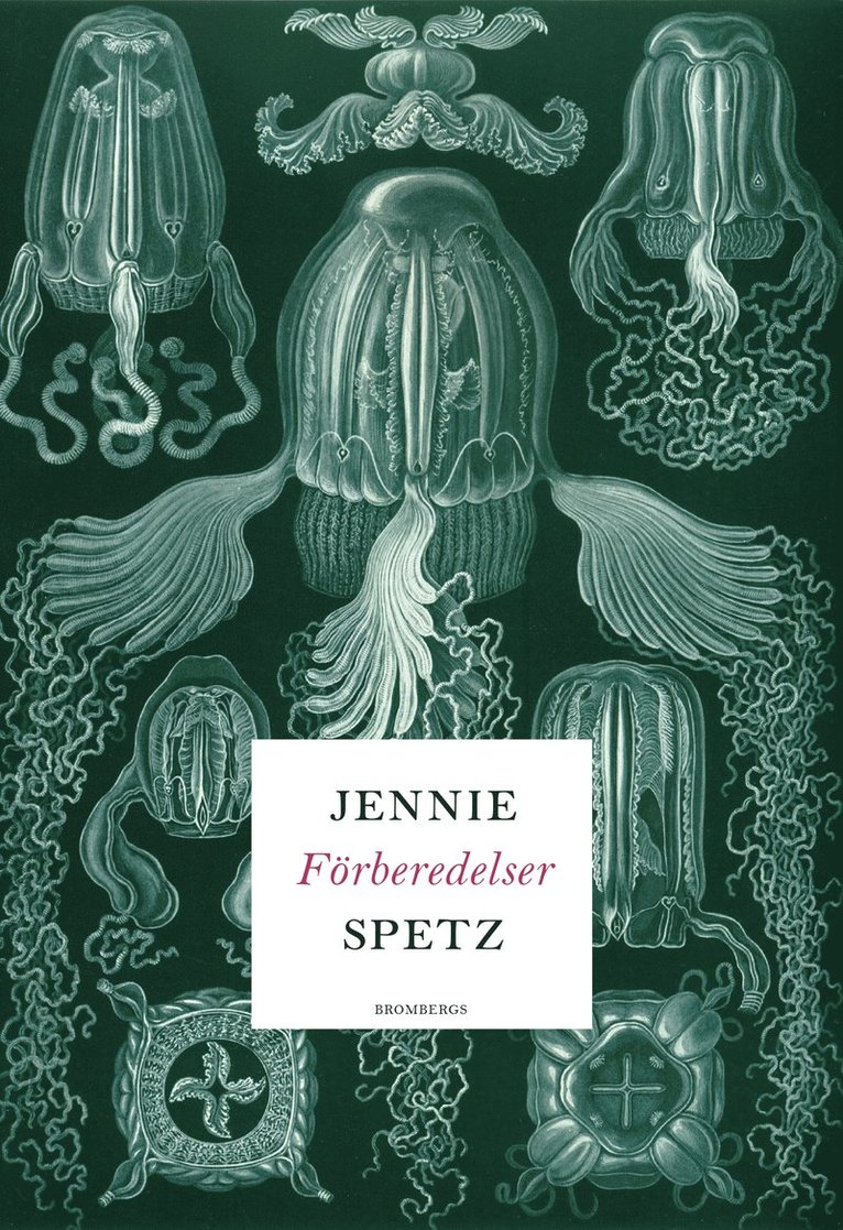 Jennie Spetz - Förberedelser, Häftad. Tillgänglighet: Tillfälligt slut