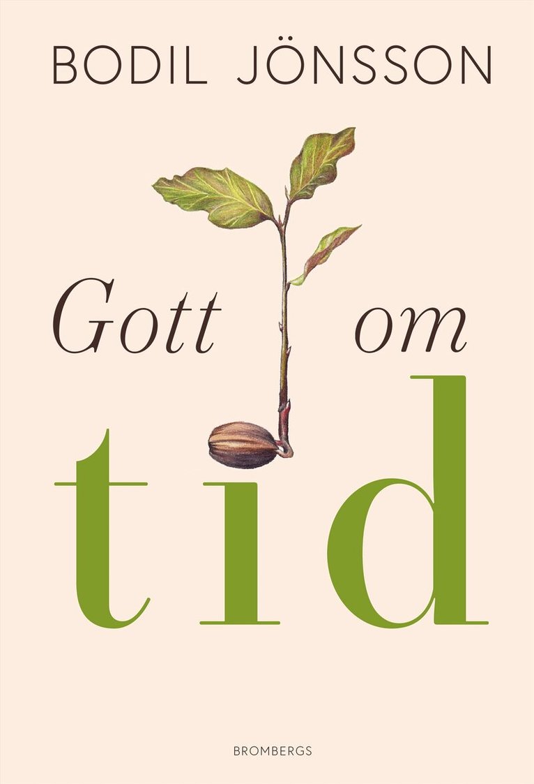 Bodil Jönsson - Gott om tid, E-bok