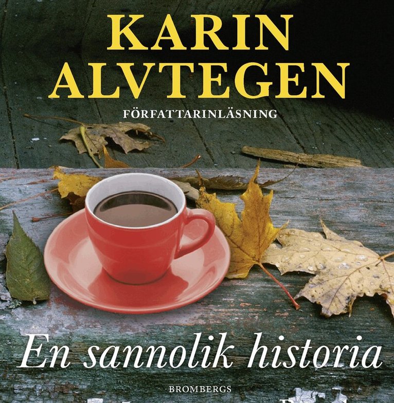 Karin Alvtegen - En sannolik historia, Ljudbok