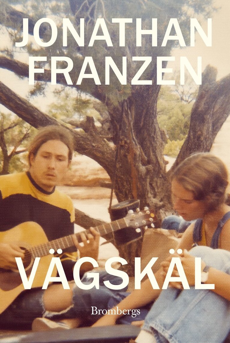 Jonathan Franzen - Vägskäl, E-bok