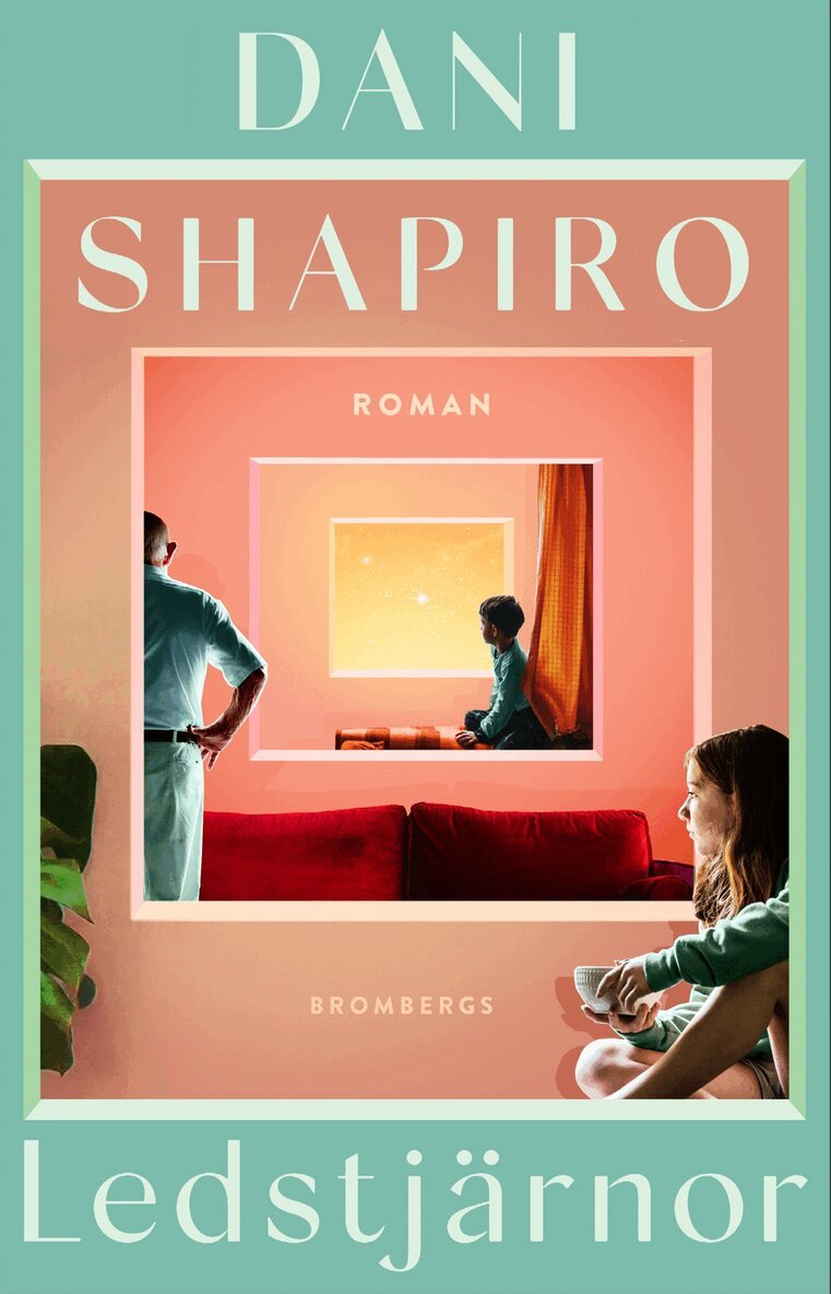 Dani Shapiro - Ledstjärnor, E-bok