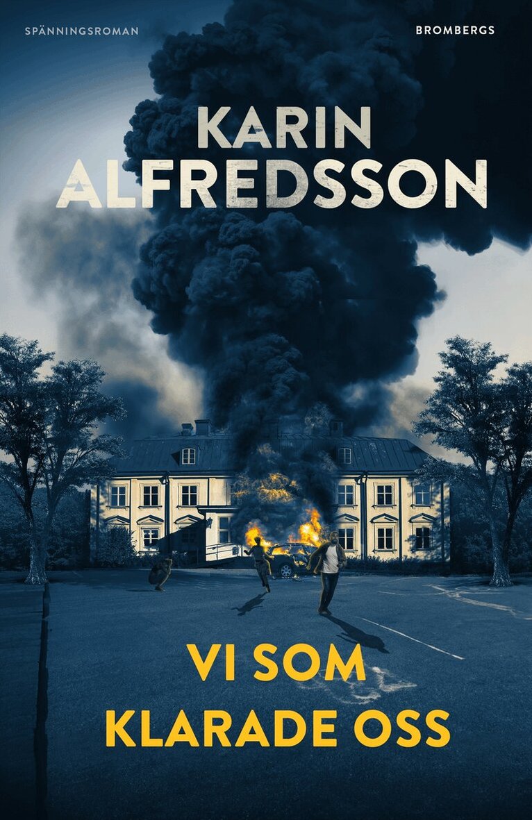 Karin Alfredsson - Vi som klarade oss, E-bok