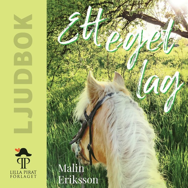 Malin Eriksson - Ett eget lag, Ljudbok