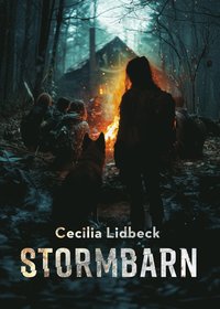 Stormbarn