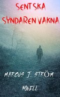 Sent Ska Syndaren Vakna