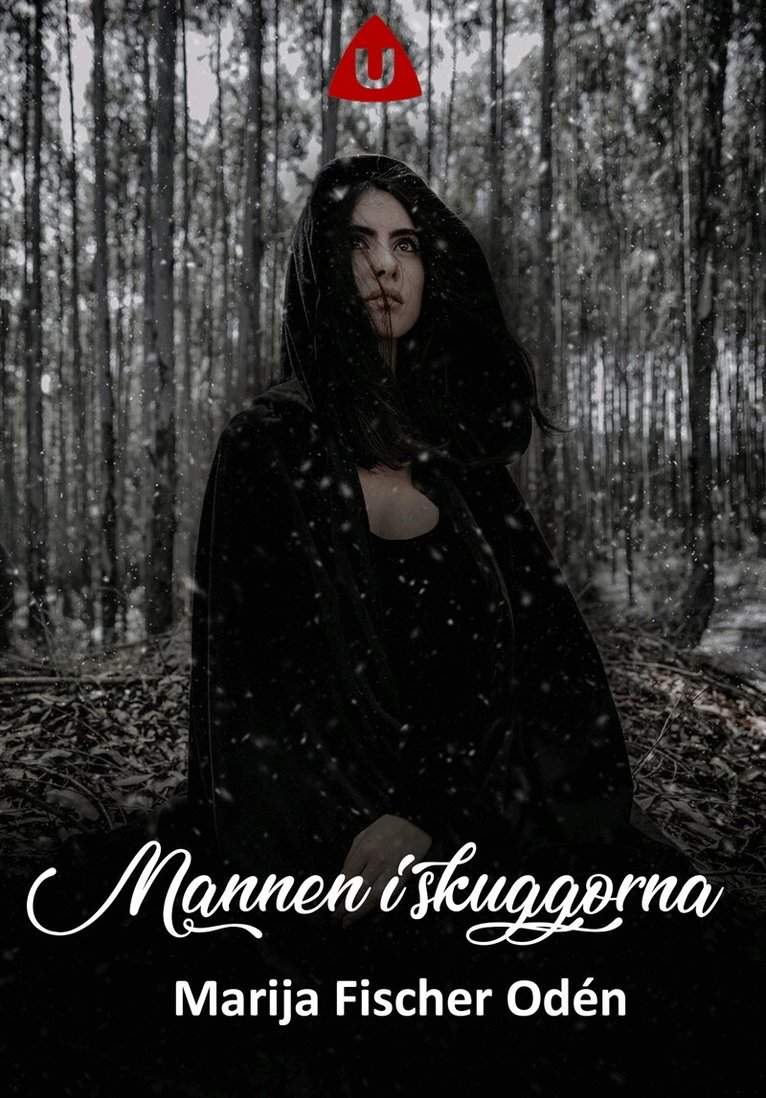 Marija Fischer Odén - Mannen i skuggorna, E-bok
