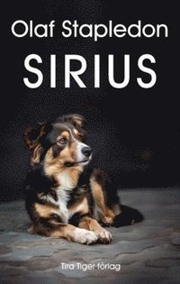 Sirius : en fantasi om krlek och konflikt