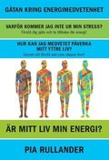 Är mitt liv min energi? : gåtan om energimedvetenhet