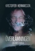verlmningen : en historia