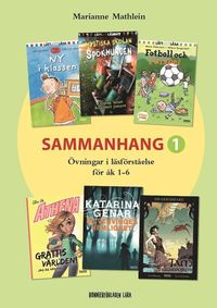 Sammanhang 1 - Övningar i läsförståelse