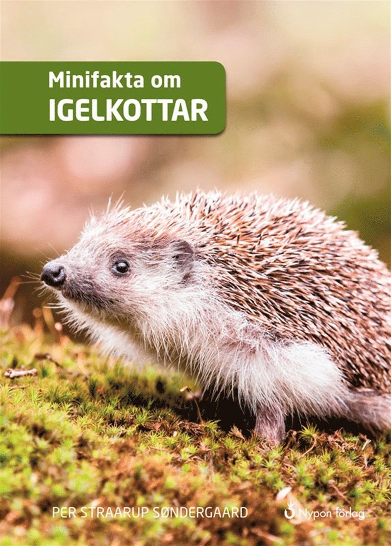 Per Straarup Søndergaard - Minifakta om igelkottar, Ljudbok