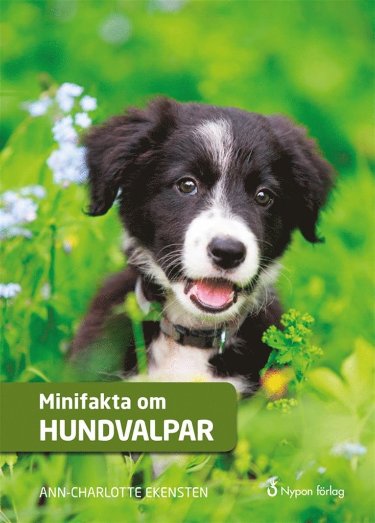 Ann-Charlotte Ekensten - Minifakta om hundvalpar, Ljudbok
