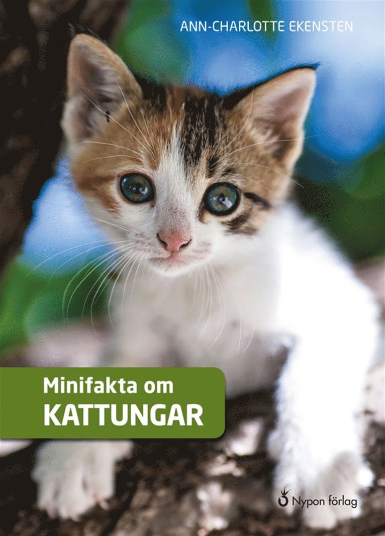Ann-Charlotte Ekensten - Minifakta om kattungar, Ljudbok