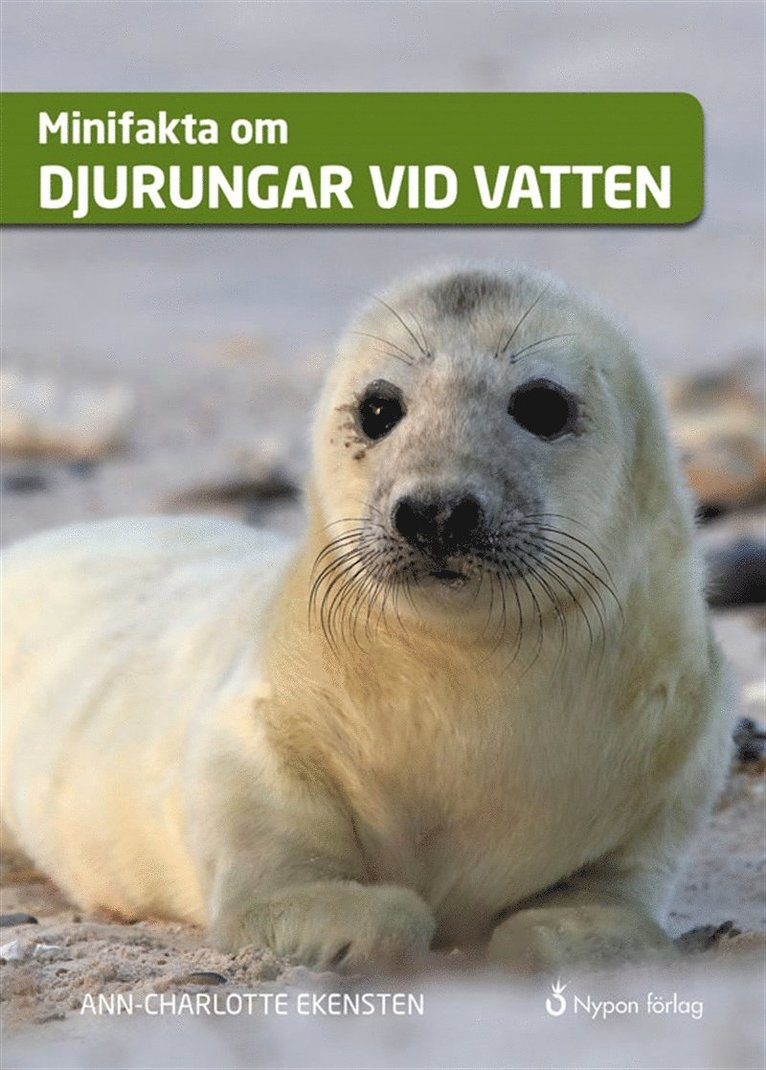 Ann-Charlotte Ekensten - Minifakta om djurungar vid vatten, Ljudbok