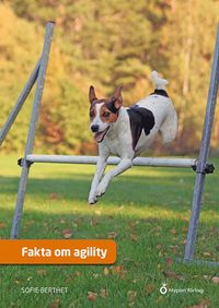 Fakta om agility