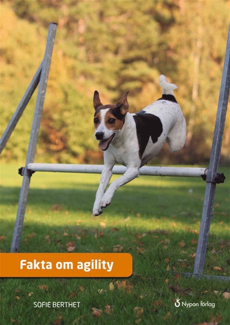 Sofie Berthet - Fakta om agility, Ljudbok