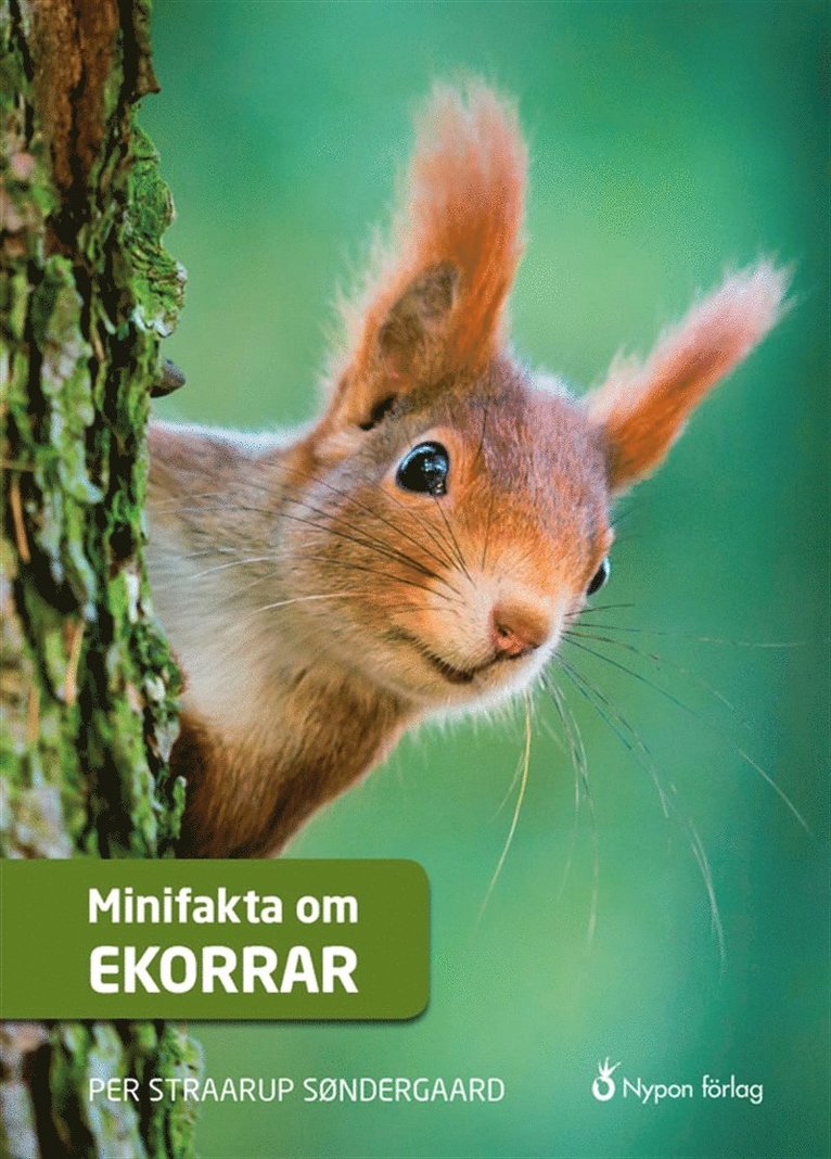 Per Straarup Søndergaard - Minifakta om ekorrar, Ljudbok