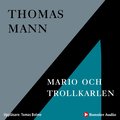 Mario och trollkarlen