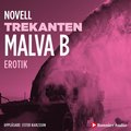 Trekanten : en novell ur Begr