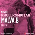 Knullkompisar : en novell ur Begr