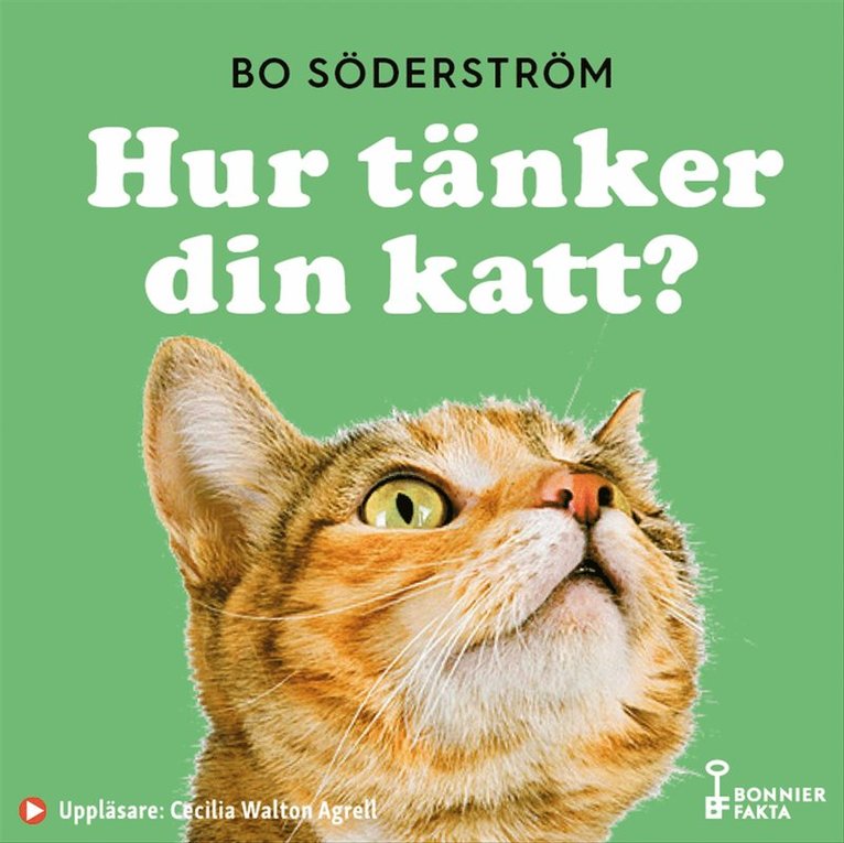 Bo Söderström - Hur tänker din katt?, Ljudbok