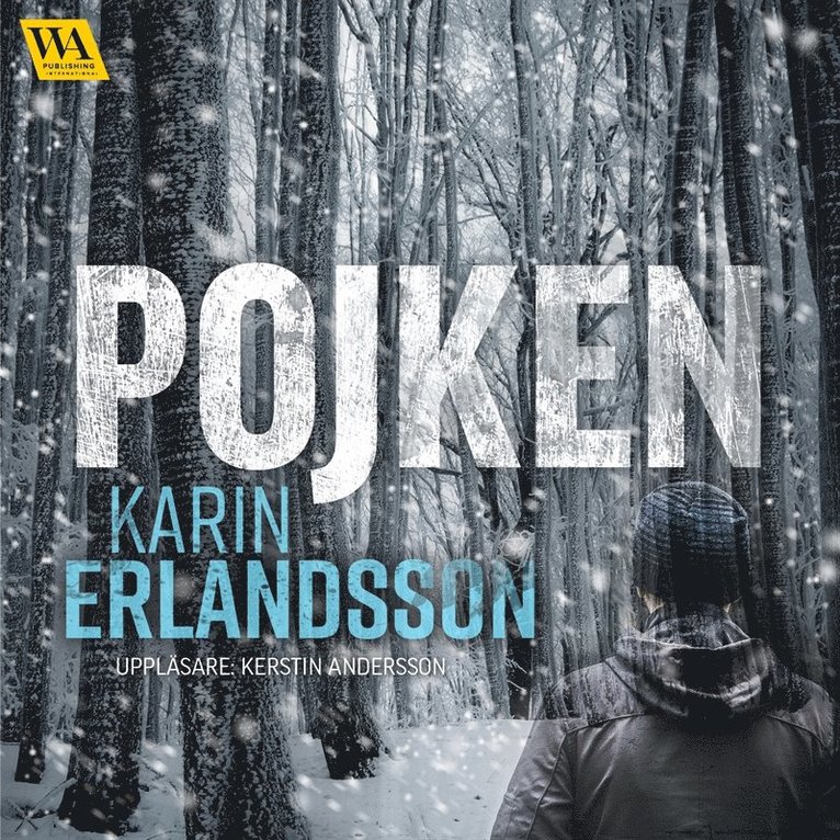 Karin Erlandsson - Pojken, Ljudbok