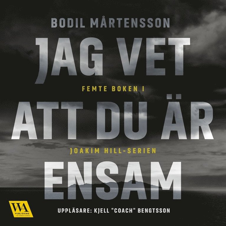 Bodil Mårtensson - Jag vet att du är ensam, Ljudbok