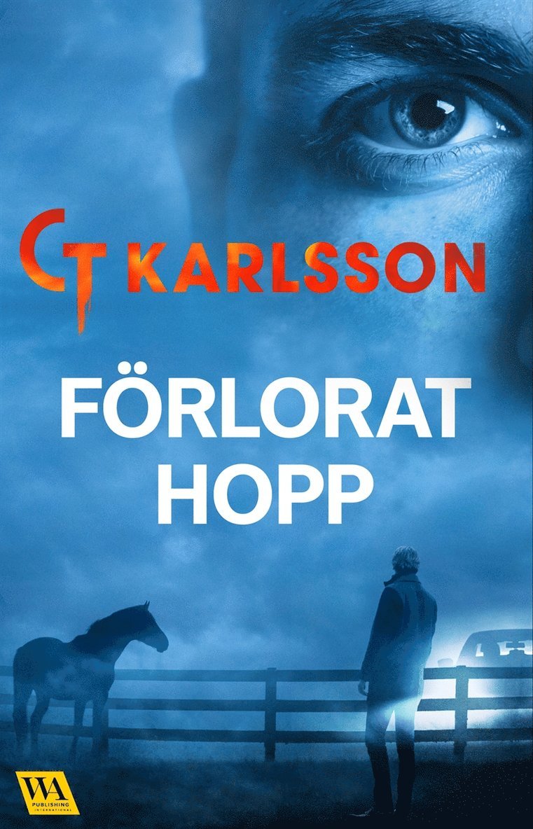 C T Karlsson - Förlorat Hopp, E-bok
