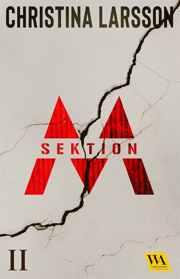 Christina Larsson - Sektion M II, E-bok