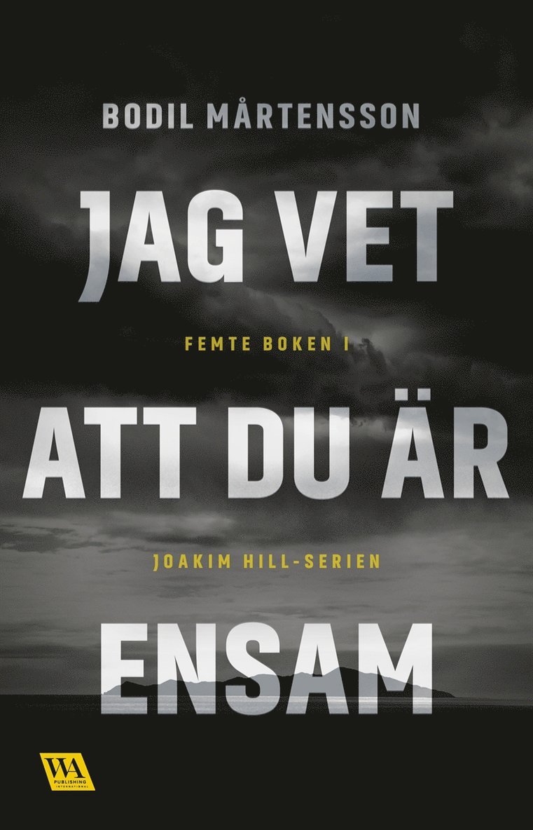Bodil Mårtensson - Jag vet att du är ensam, E-bok