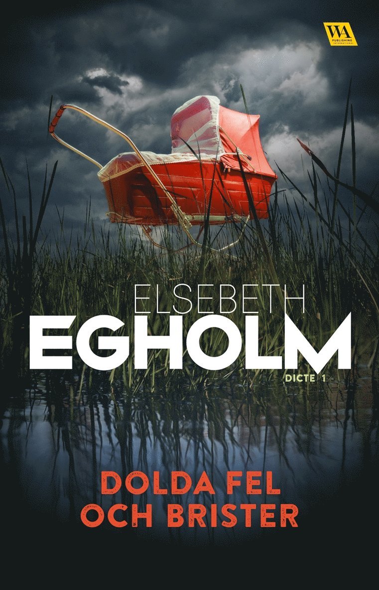 Elsebeth Egholm - Dolda fel och brister, E-bok