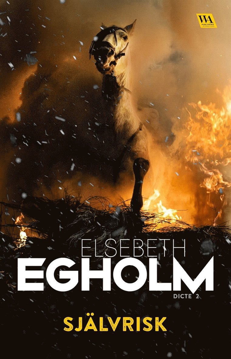 Elsebeth Egholm - Självrisk, E-bok