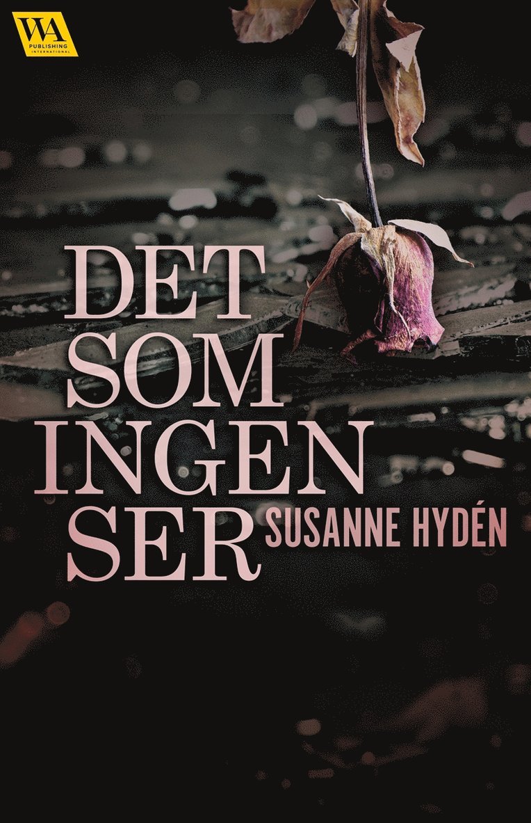 Susanne Hydén - Det som ingen ser, E-bok