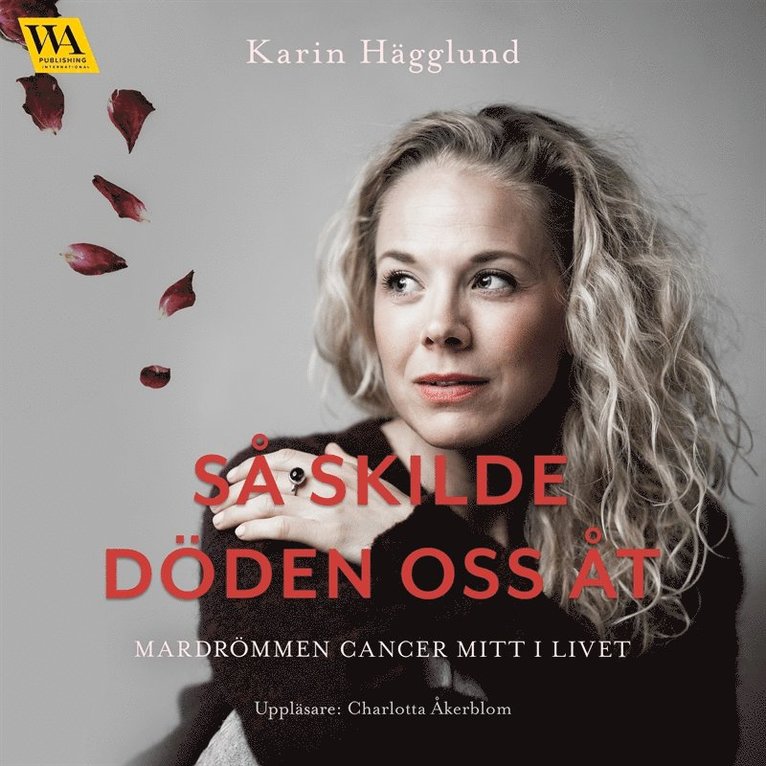 Karin Hägglund - Så skilde döden oss åt: mardrömmen cancer mitt i livet, Ljudbok